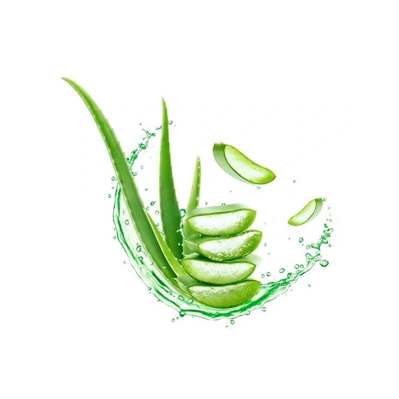 Sapun Lichid cu Aloe Vera Klintensiv - 5 litri 2