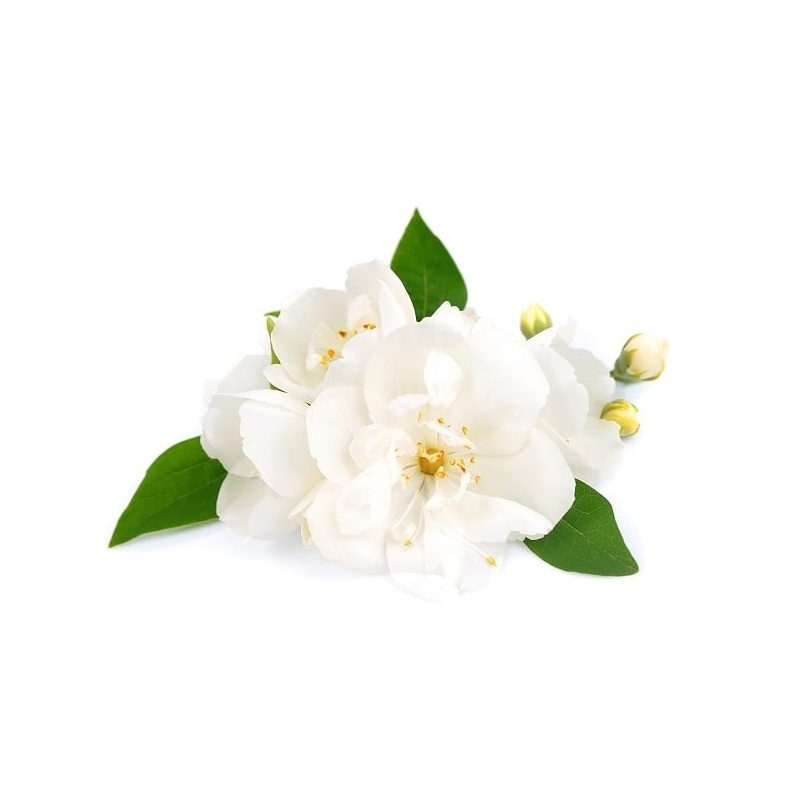 Sapun Lichid cu Parfum de Iasomie Klintensiv - 5 litri 2