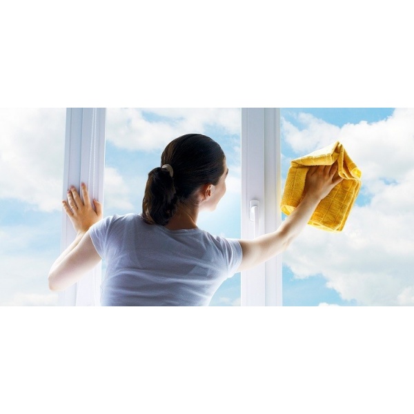 Performant G - detergent geamuri - 1 litru