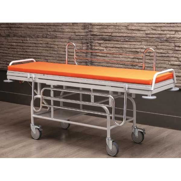 Targa pentru transport pacienti - 3003